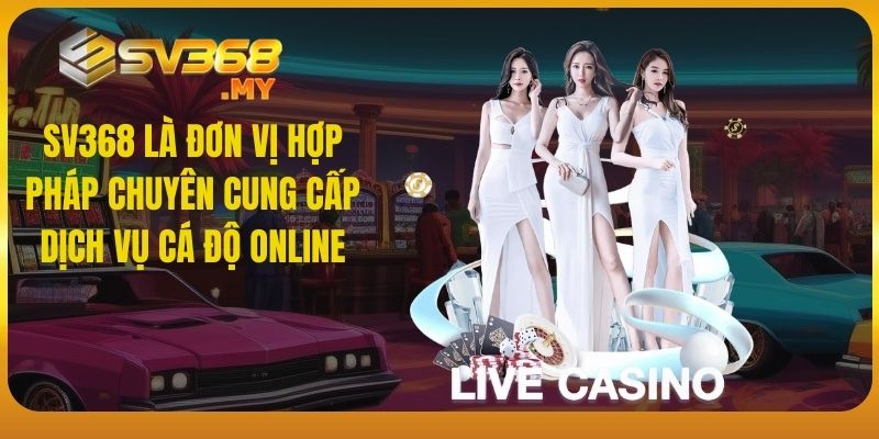 SV368 là đơn vị hợp pháp chuyên cung cấp dịch vụ cá độ online